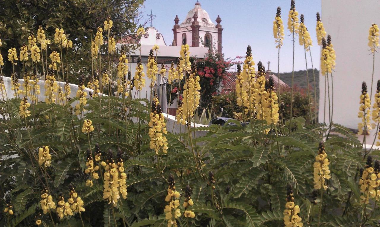 Quintal Do Castelo Villa ซิลเวส ภายนอก รูปภาพ